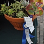 distinction in hort (1)