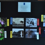 photos 1