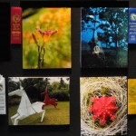 photos2 (1)