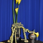 wDSC_0150