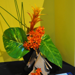 wDSC_0164