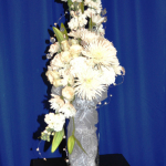 wDSC_0186