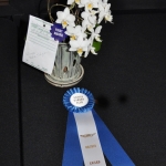 wDSC_0189