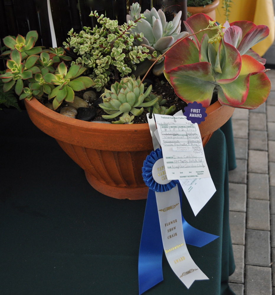 distinction in hort (1)