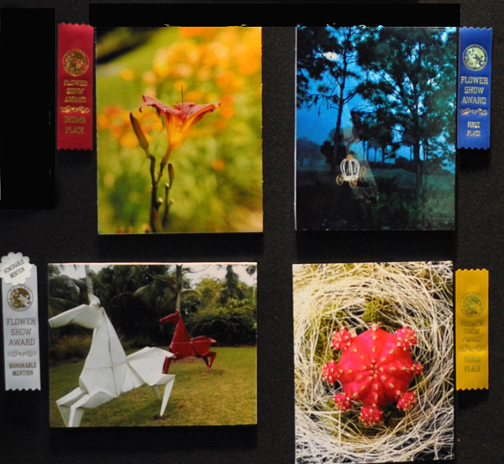 photos2 (1)