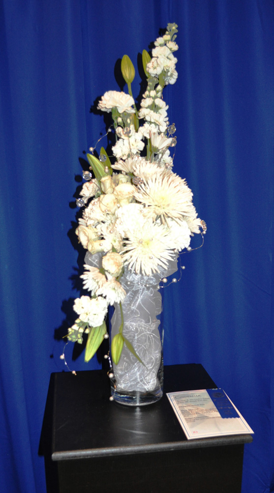 wDSC_0186