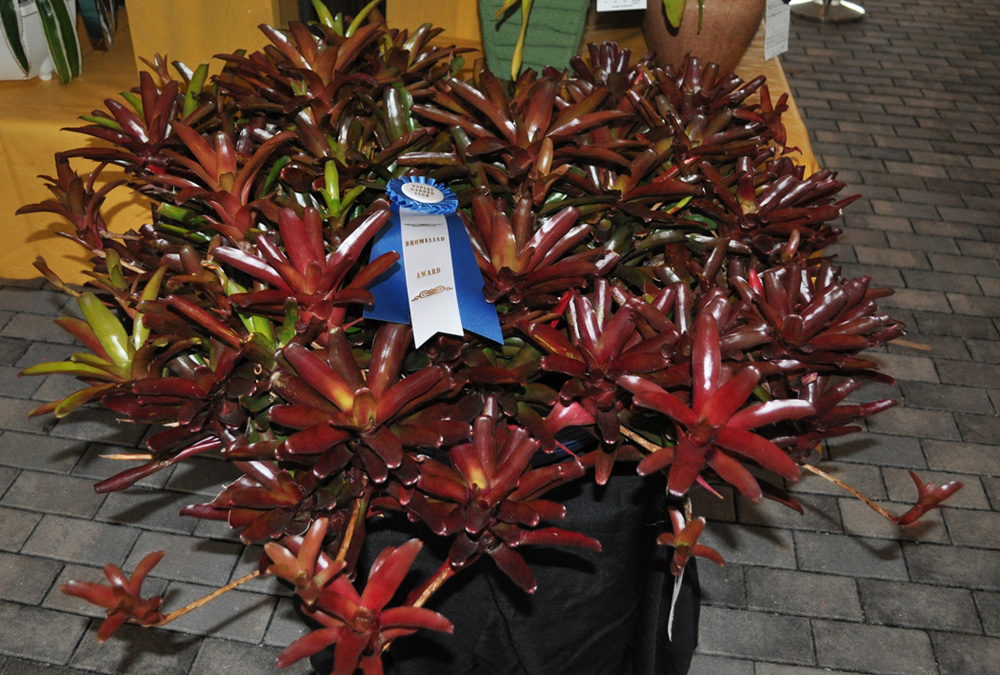 wDSC_0194 (1)