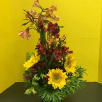 IMG_0020